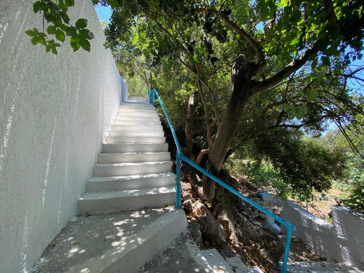 Oleander'S Garden Traditional Cretan Cottage 费马 外观 照片