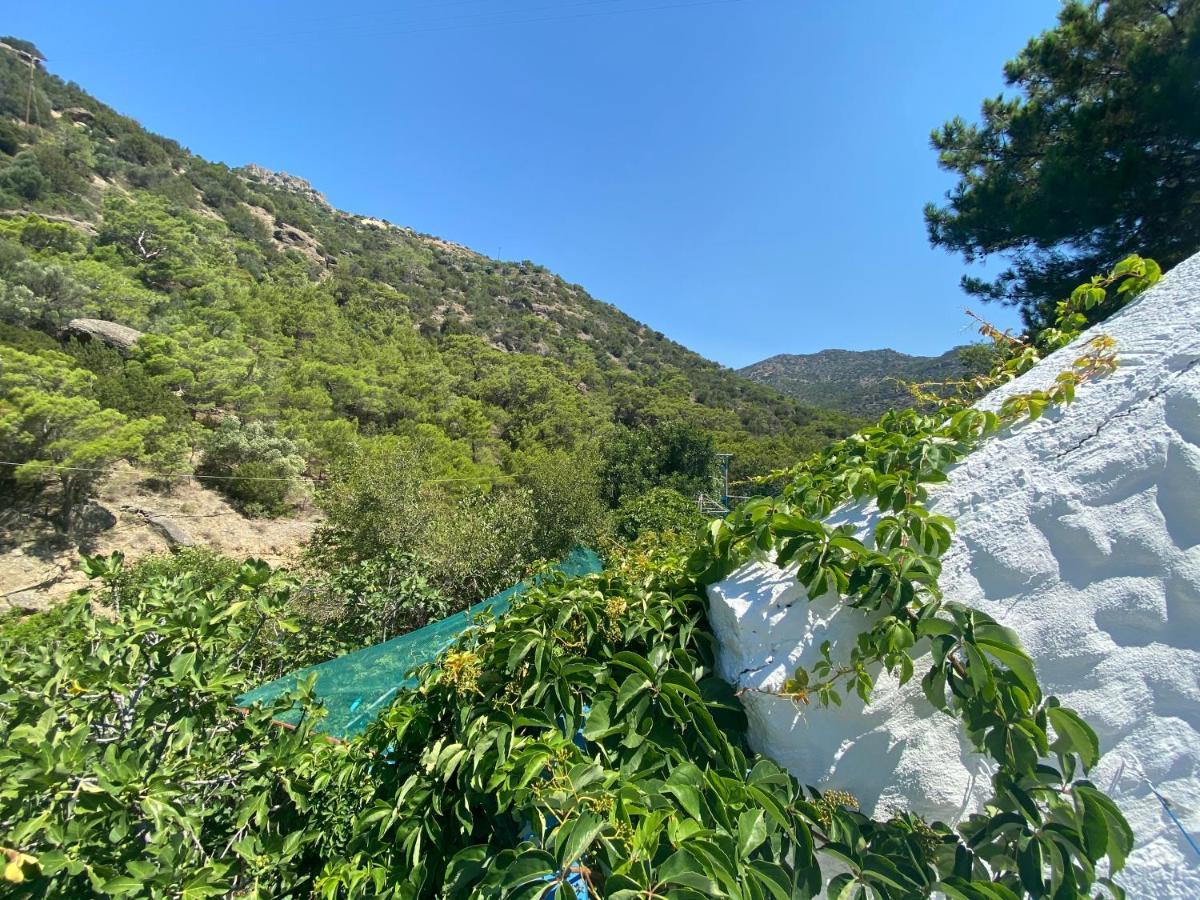 Oleander'S Garden Traditional Cretan Cottage 费马 外观 照片