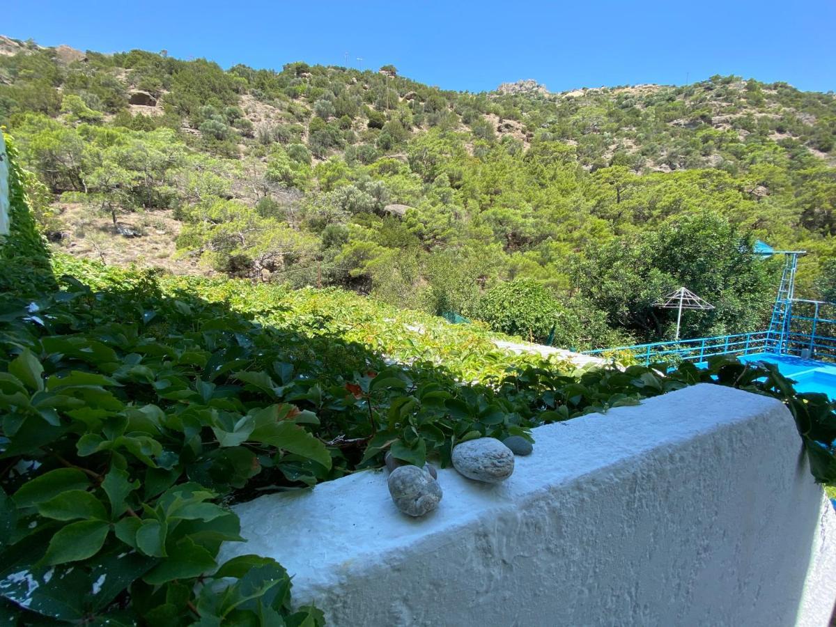 Oleander'S Garden Traditional Cretan Cottage 费马 外观 照片