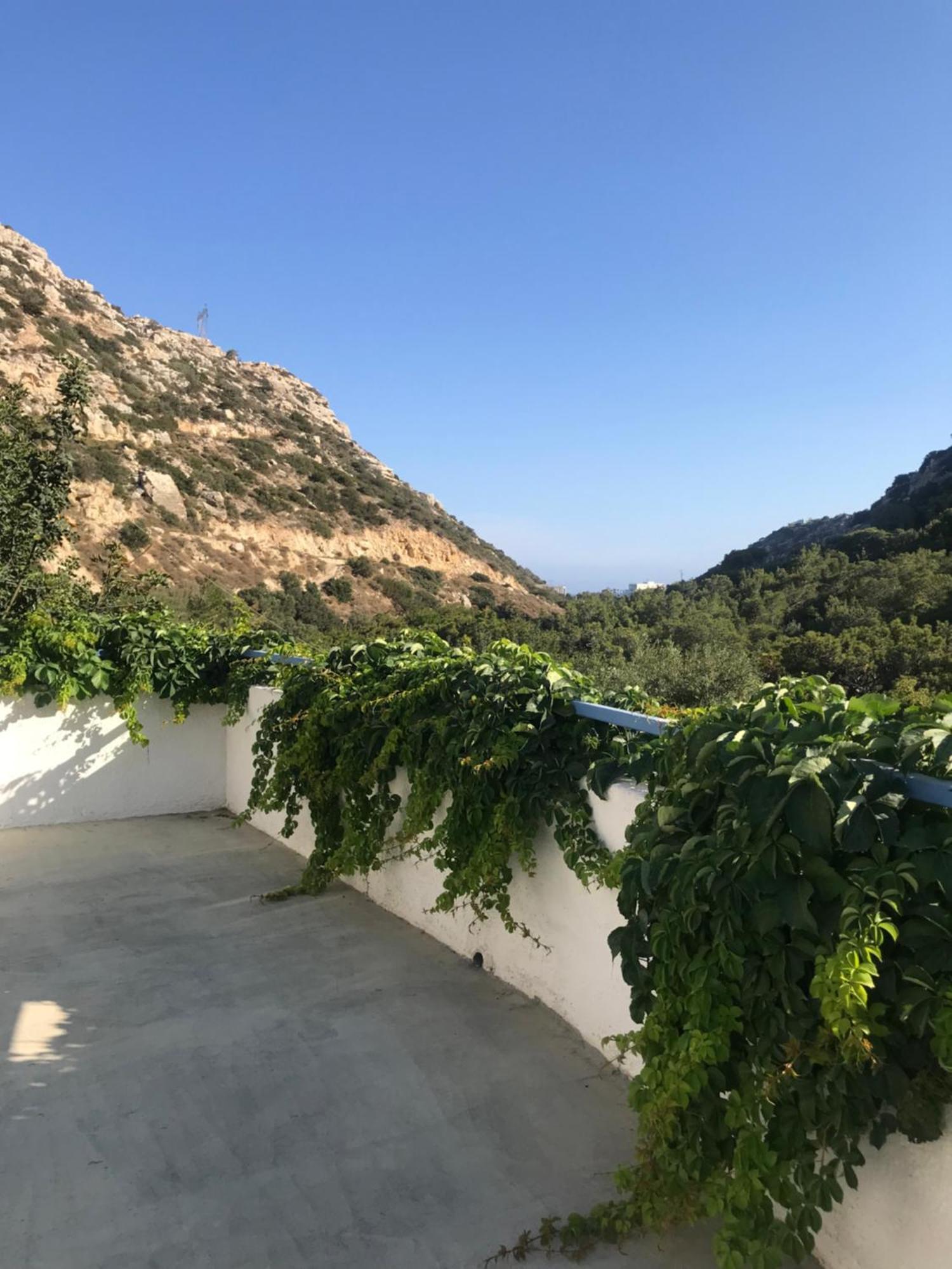 Oleander'S Garden Traditional Cretan Cottage 费马 外观 照片