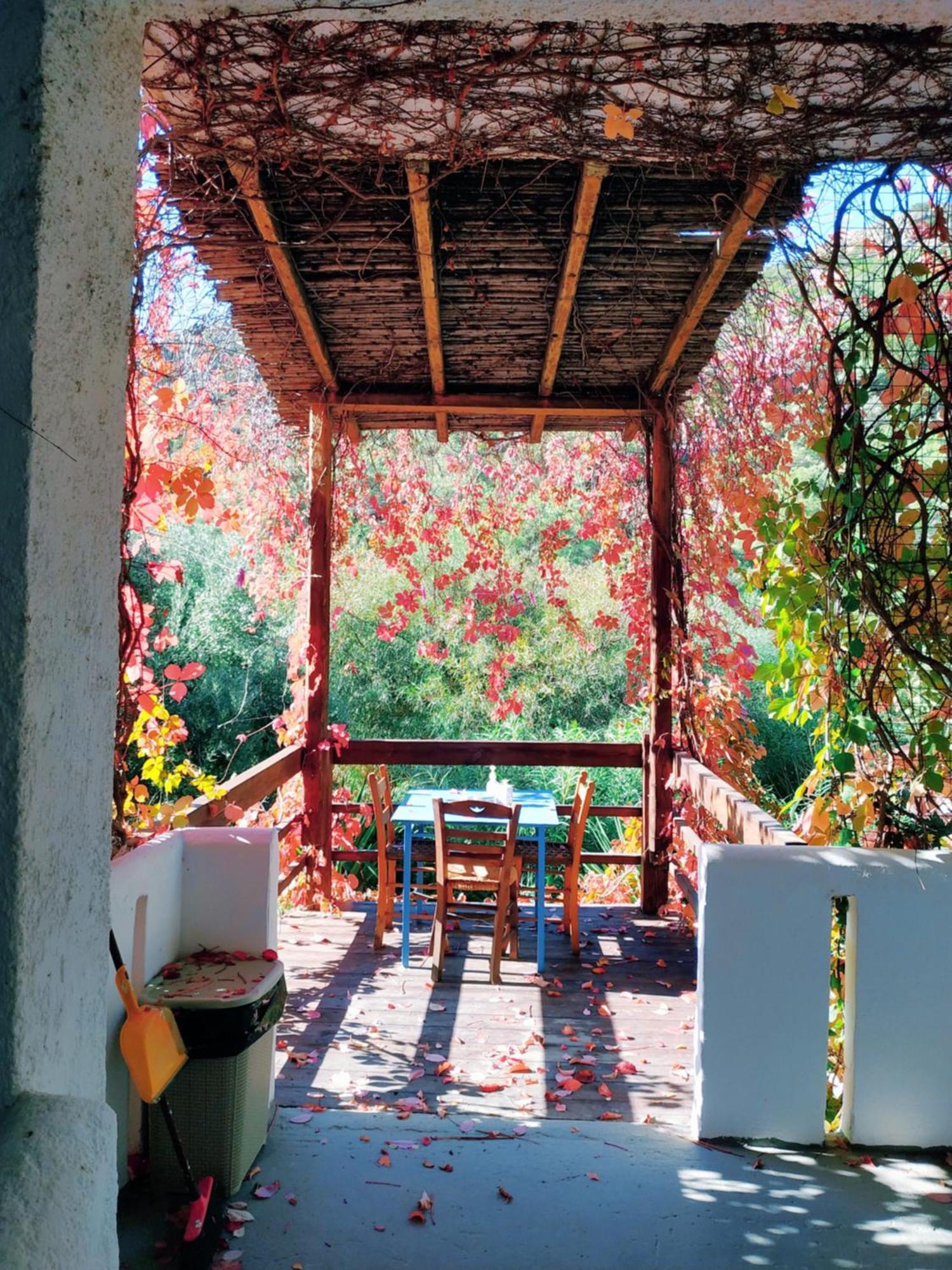 Oleander'S Garden Traditional Cretan Cottage 费马 外观 照片