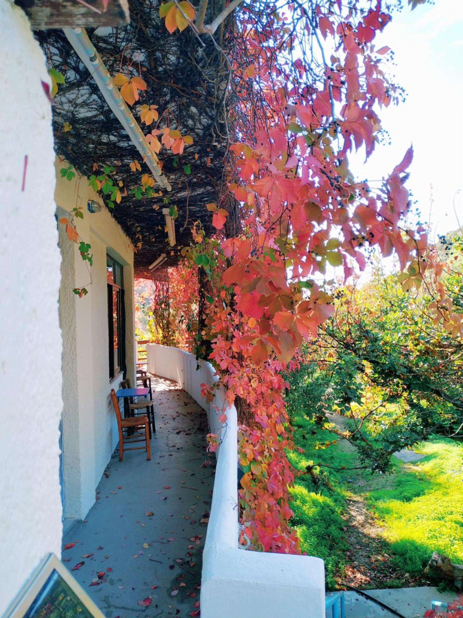 Oleander'S Garden Traditional Cretan Cottage 费马 外观 照片