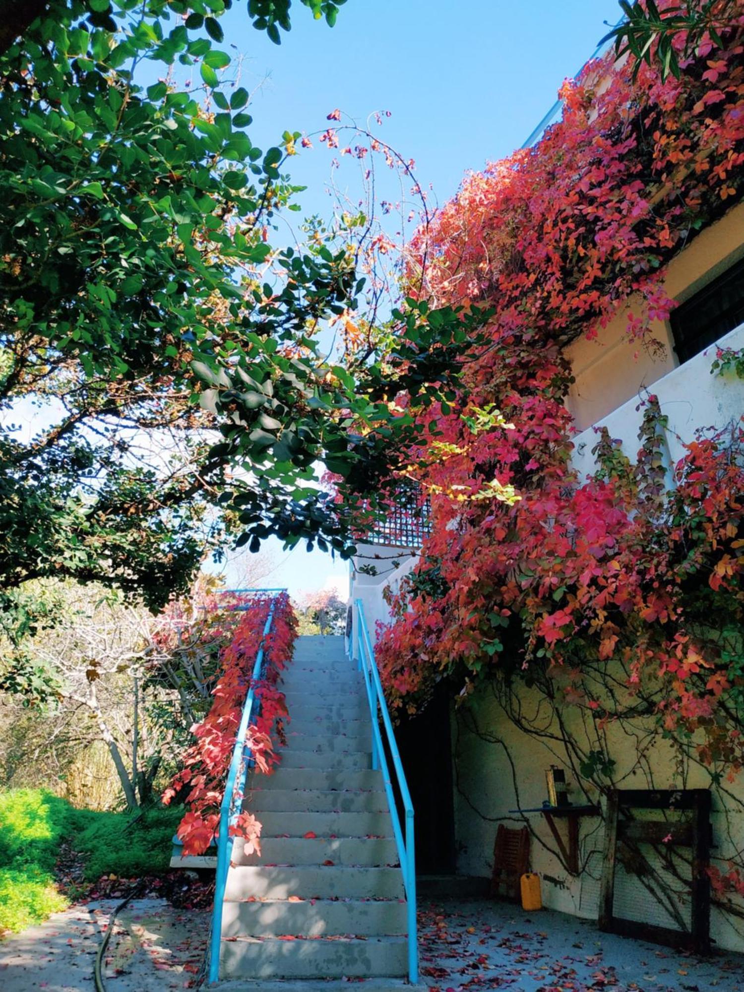 Oleander'S Garden Traditional Cretan Cottage 费马 外观 照片