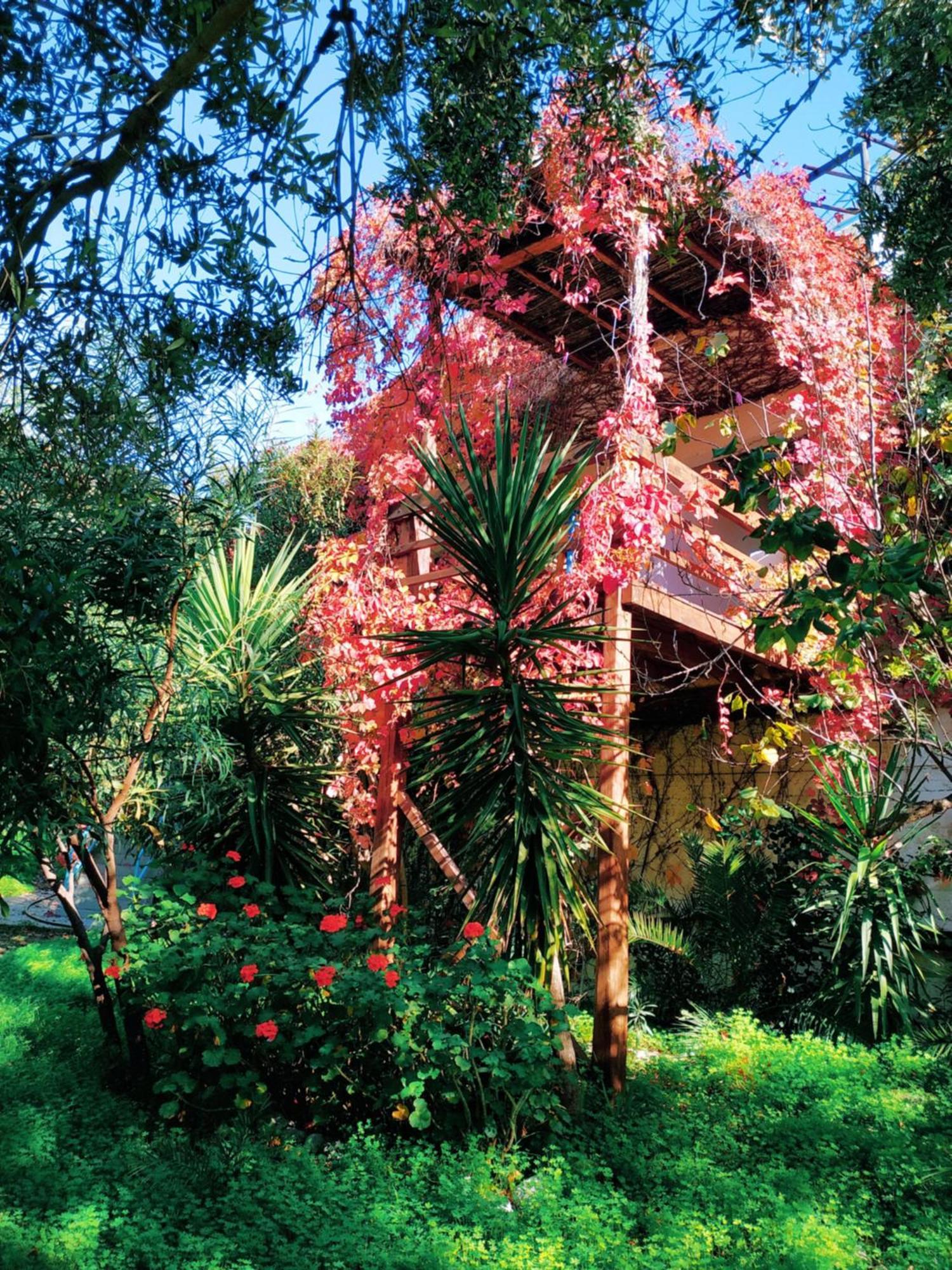 Oleander'S Garden Traditional Cretan Cottage 费马 外观 照片
