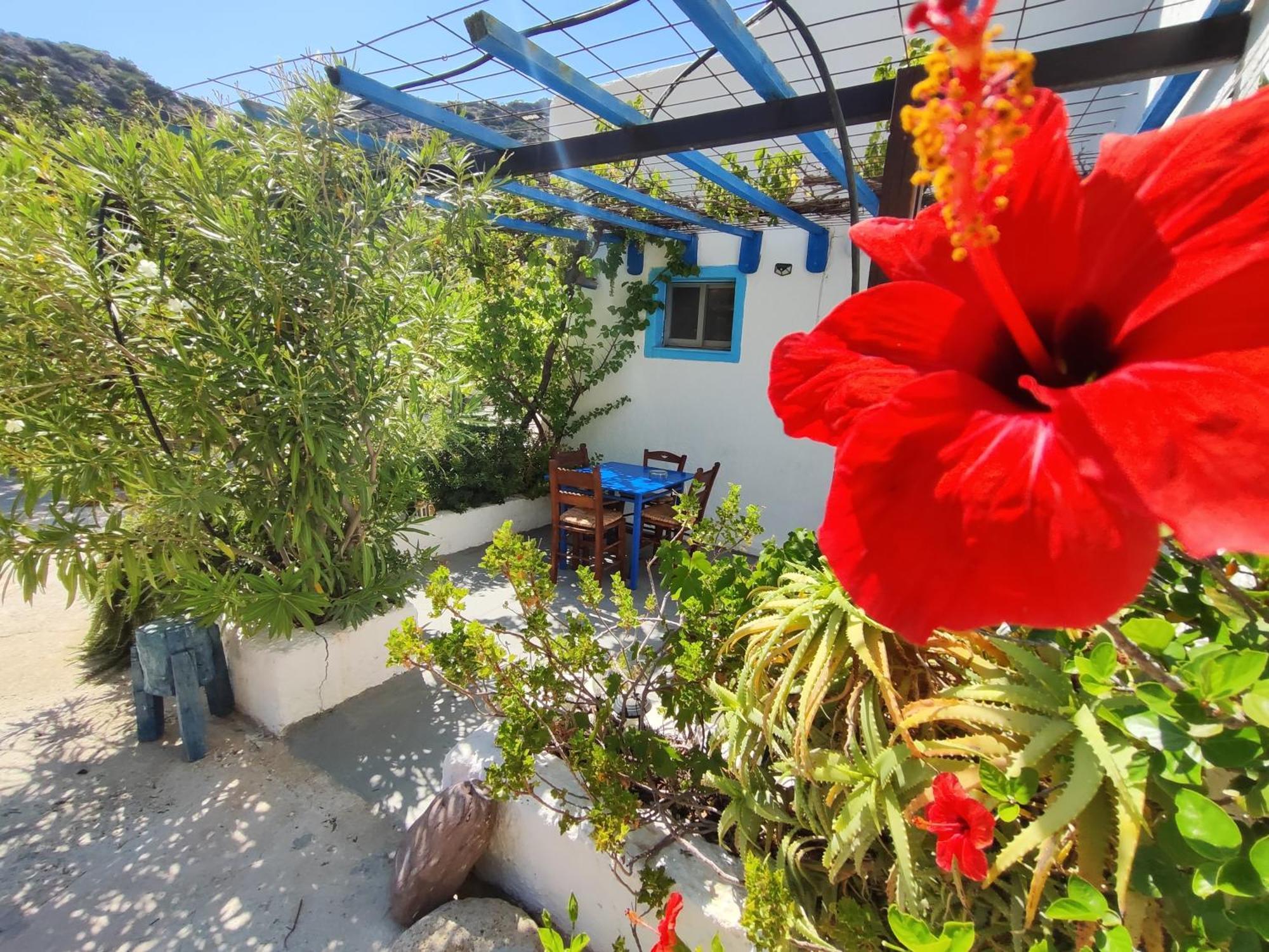 Oleander'S Garden Traditional Cretan Cottage 费马 外观 照片