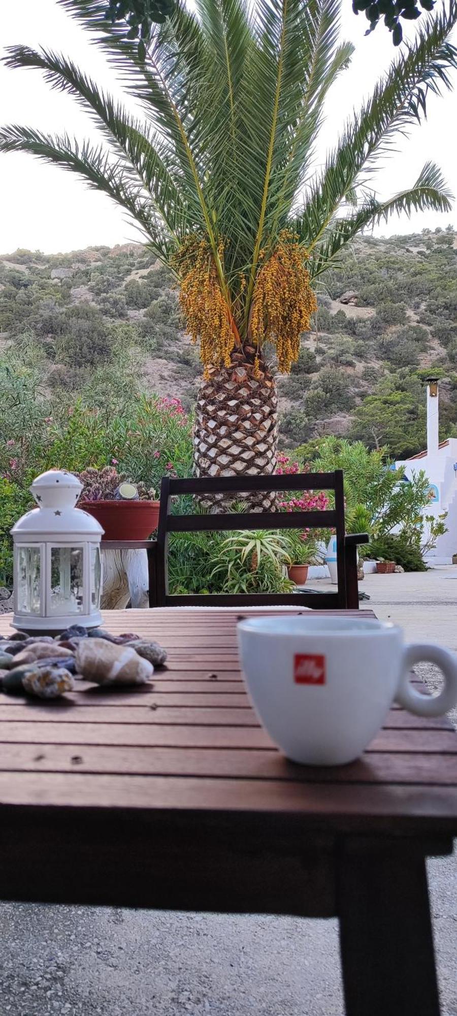 Oleander'S Garden Traditional Cretan Cottage 费马 外观 照片