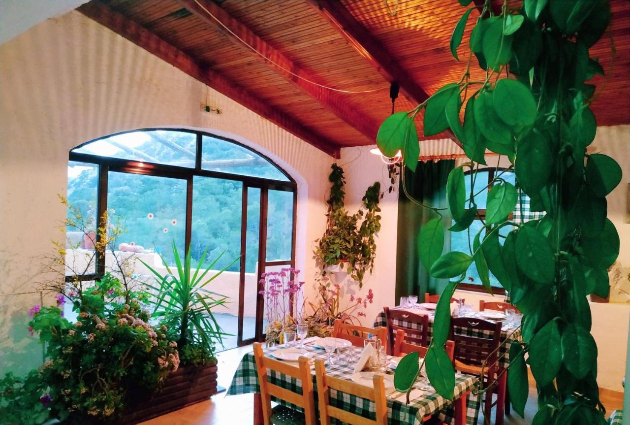 Oleander'S Garden Traditional Cretan Cottage 费马 外观 照片